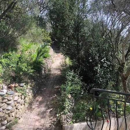 Entiere A 550 M Du Centre-ville * Valensole
