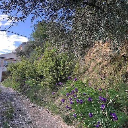 Entiere A 550 M Du Centre-ville * Valensole